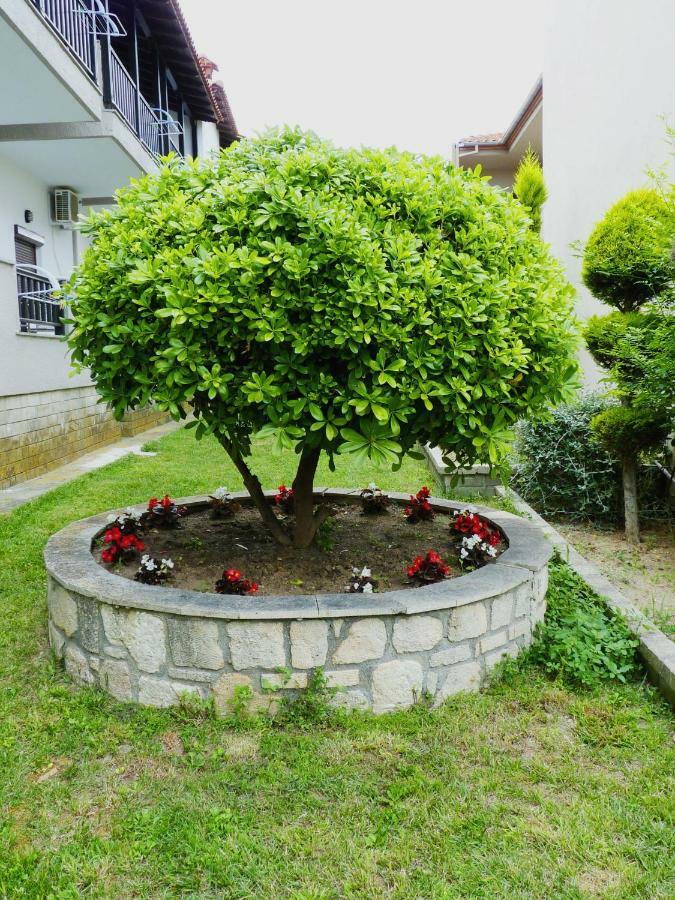 Yannis Apartments Afytos Luaran gambar
